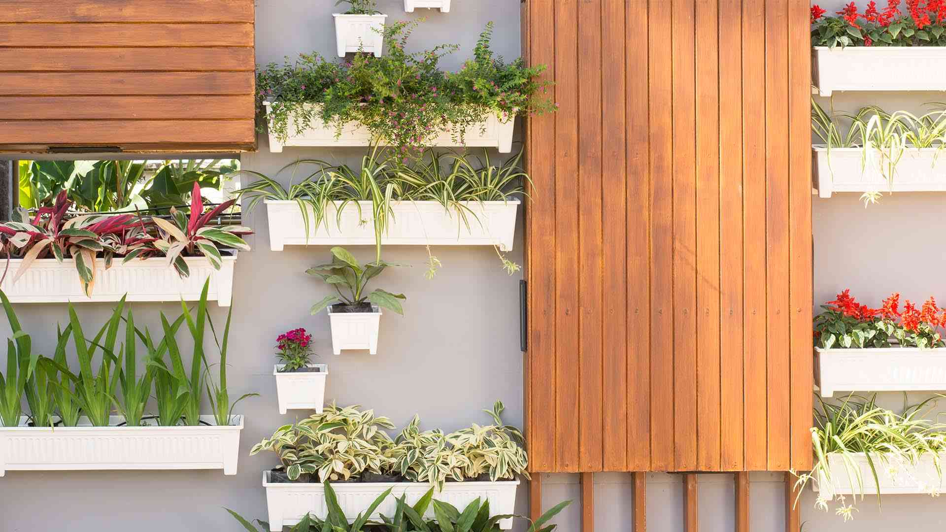 ¡Descubre cómo hacer un jardín vertical en tu balcón con Óptima Inmobiliaria!