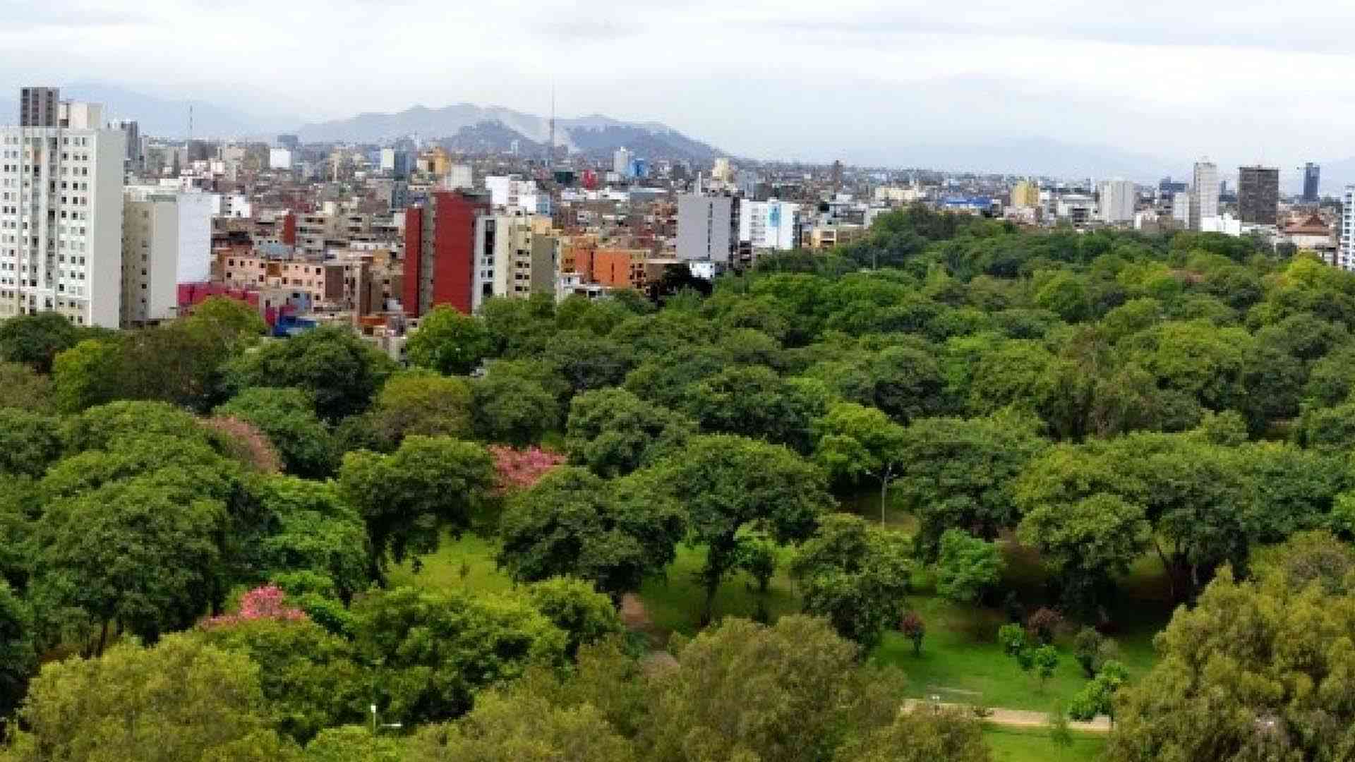 Explorando Lince: Descubre por qué es uno de los mejores distritos para vivir en Lima